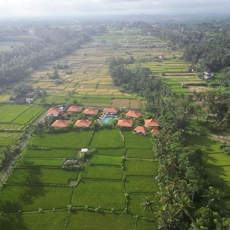 Kampung Uma Dawa Villas And Spa Ubud Esterno foto