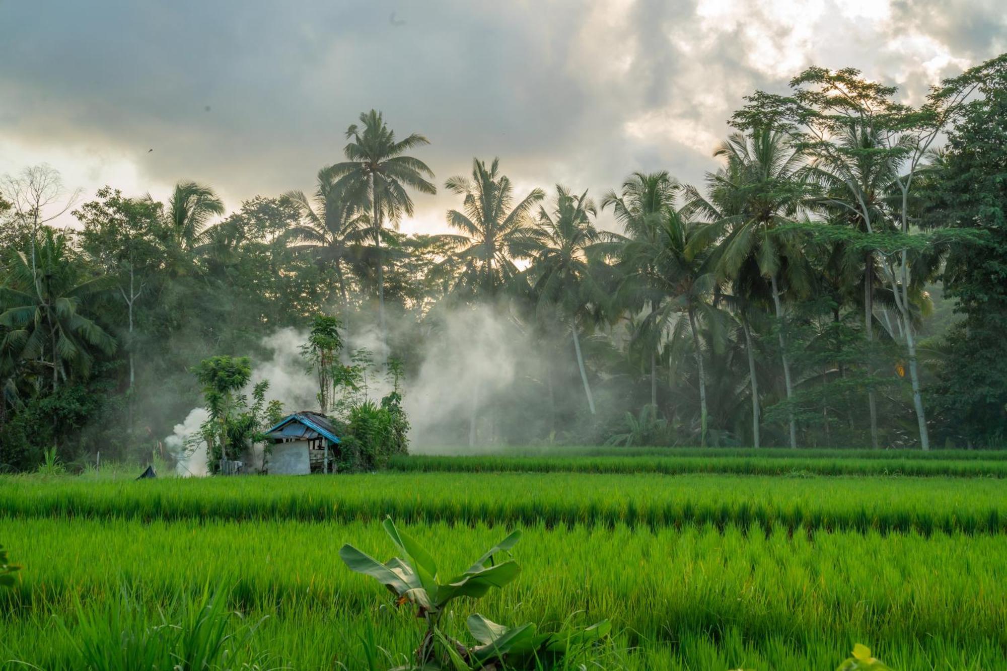 Kampung Uma Dawa Villas And Spa Ubud Esterno foto