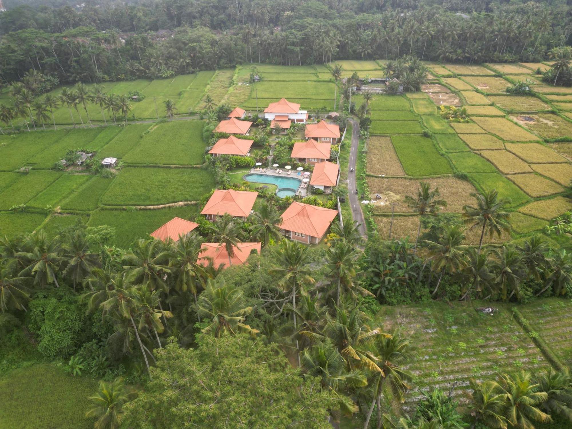 Kampung Uma Dawa Villas And Spa Ubud Esterno foto